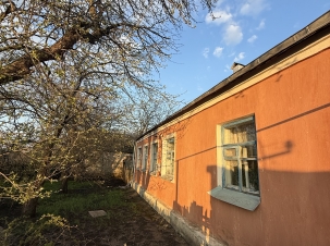 image11